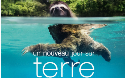 « Un nouveau jour sur terre »: un film magnifiant la nature