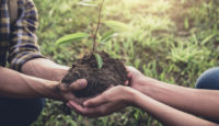 Vivre une relation de couple plus écologique : comment faire ?
