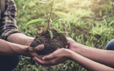 Vivre une relation de couple plus écologique : comment faire ?